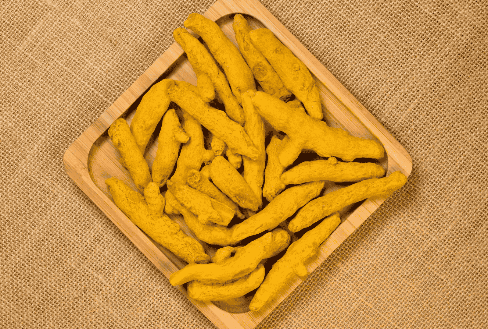 Untitled design - 2025-01-29T150600.267