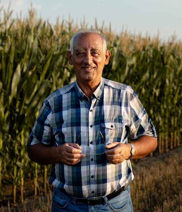 senior farmer standing in corn field examining cro HD9LC5T